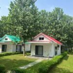Forest View Cottages